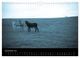 Thumbnail-13