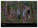 Thumbnail-8