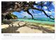Thumbnail-14