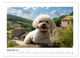 Thumbnail-13