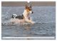 Thumbnail-9