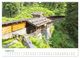 Thumbnail-13