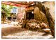Thumbnail-11