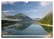 Thumbnail-8
