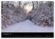 Thumbnail-14