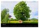 Thumbnail-8