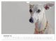 Thumbnail-14