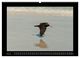 Thumbnail-10