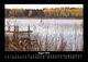 Thumbnail-12