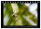 Thumbnail-11