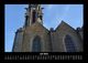 Thumbnail-11