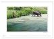 Thumbnail-12