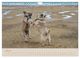 Thumbnail-9