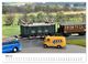 Thumbnail-10