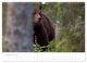 Thumbnail-11
