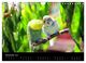 Thumbnail-14