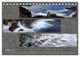 Thumbnail-13
