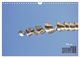 Thumbnail-7