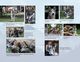 Thumbnail-12