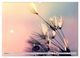 Thumbnail-11