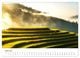 Thumbnail-9