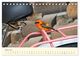 Thumbnail-9