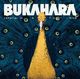 Thumbnail-0