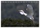 Thumbnail-12