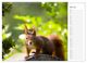 Thumbnail-12