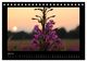 Thumbnail-12