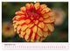Thumbnail-14