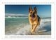 Thumbnail-12
