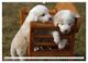 Thumbnail-11