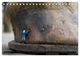 Thumbnail-10