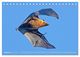 Thumbnail-12