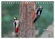 Thumbnail-14