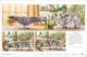 Thumbnail-12