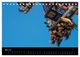 Thumbnail-10