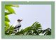 Thumbnail-9