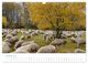Thumbnail-12