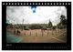 Thumbnail-9