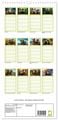 Thumbnail-10