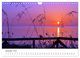 Thumbnail-14