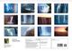Thumbnail-13