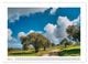 Thumbnail-8