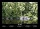 Thumbnail-11
