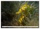 Thumbnail-9