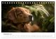Thumbnail-14