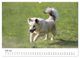 Thumbnail-12