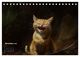 Thumbnail-13